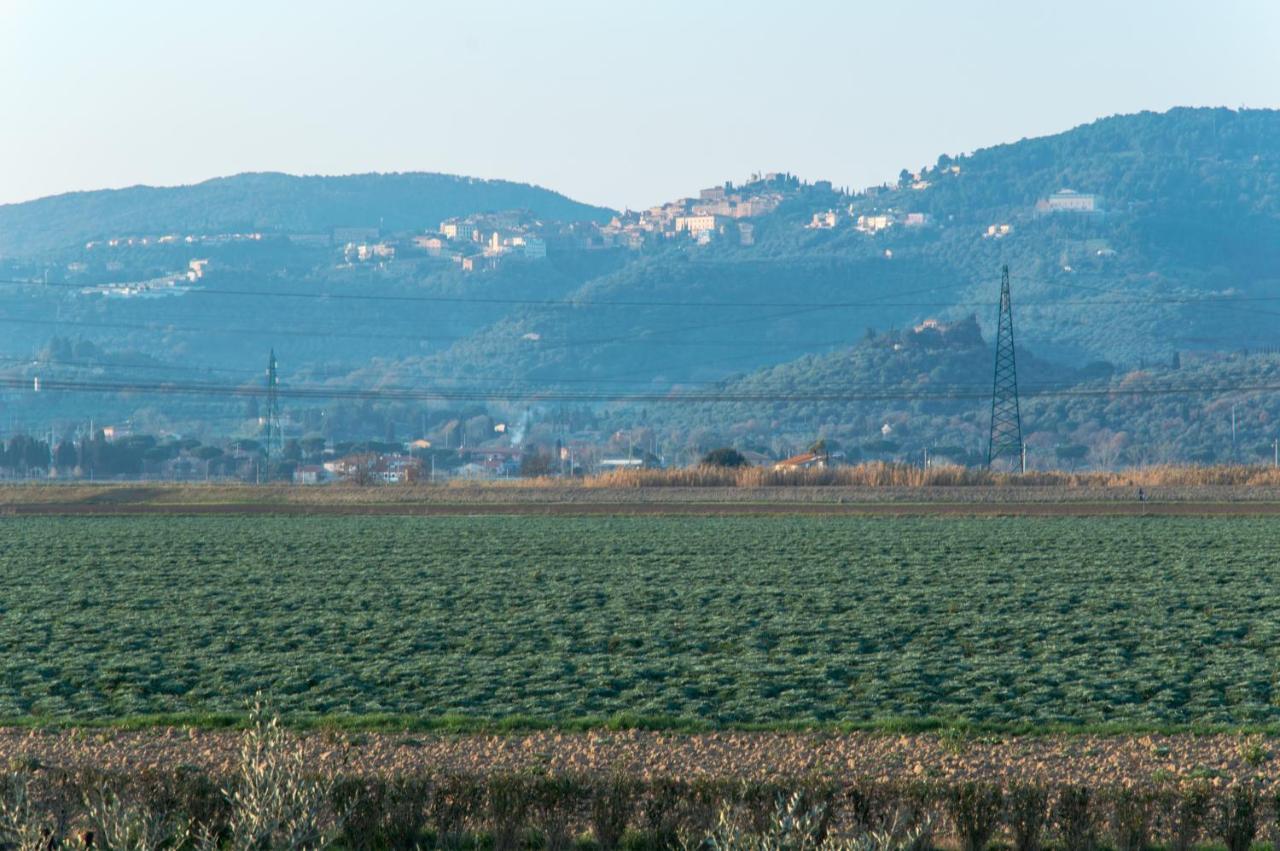 Agriturismo Il Cuscino Nel Pagliaio Campiglia Marittima Dış mekan fotoğraf