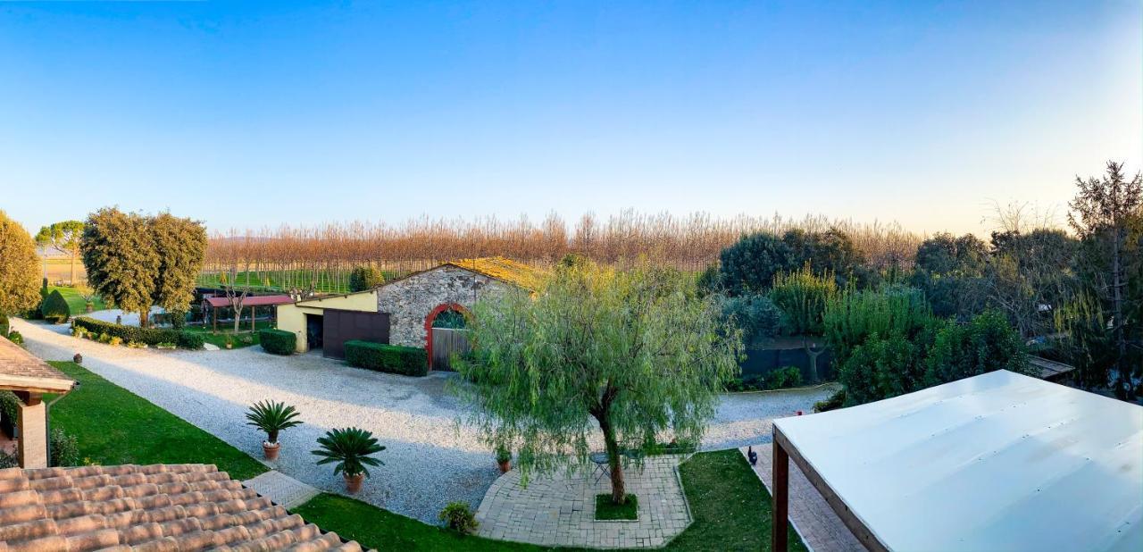 Agriturismo Il Cuscino Nel Pagliaio Campiglia Marittima Dış mekan fotoğraf