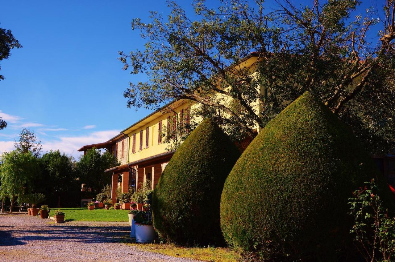 Agriturismo Il Cuscino Nel Pagliaio Campiglia Marittima Dış mekan fotoğraf