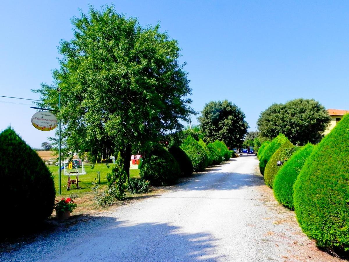 Agriturismo Il Cuscino Nel Pagliaio Campiglia Marittima Dış mekan fotoğraf