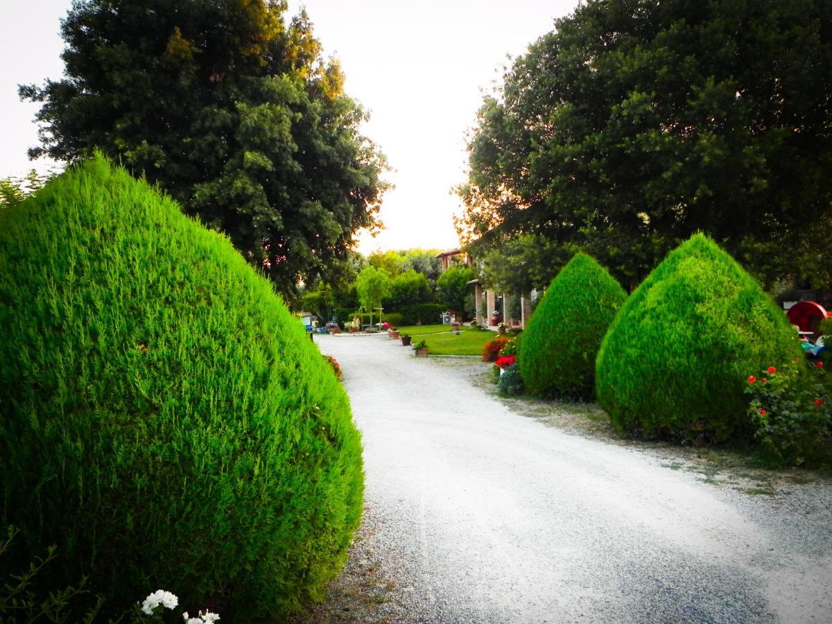Agriturismo Il Cuscino Nel Pagliaio Campiglia Marittima Dış mekan fotoğraf