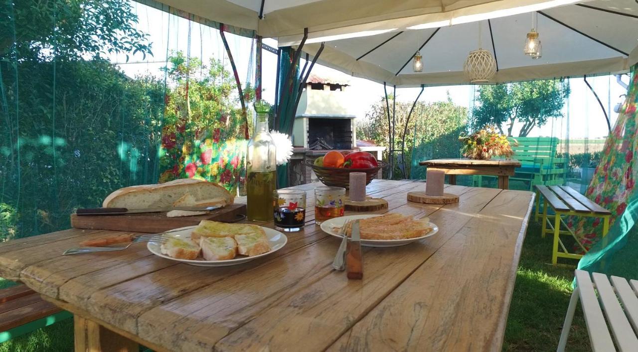 Agriturismo Il Cuscino Nel Pagliaio Campiglia Marittima Dış mekan fotoğraf