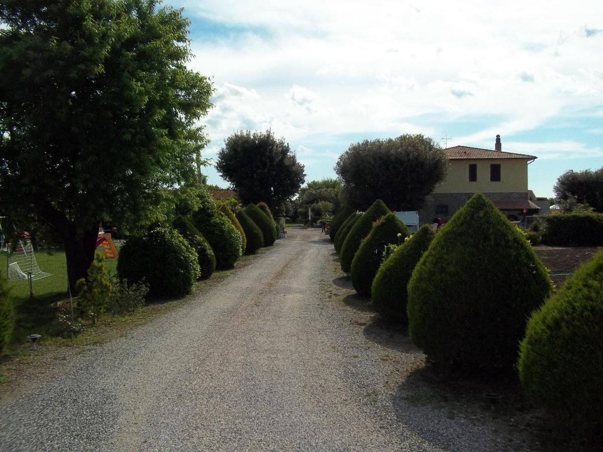 Agriturismo Il Cuscino Nel Pagliaio Campiglia Marittima Dış mekan fotoğraf